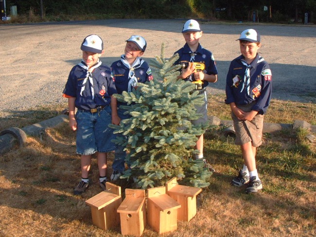 Boy Scouts and Girl Scouts on Fox Island